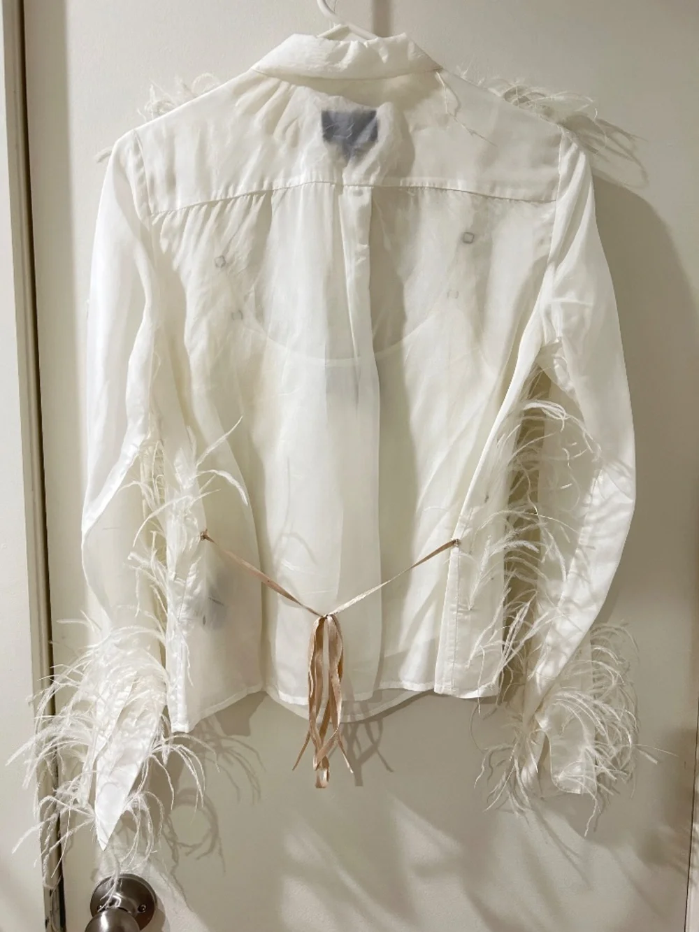 Jcrew collection organza button up shirt with feathers
